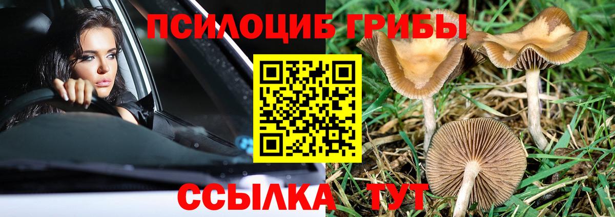 Псилоцибиновые грибы MAGIC MUSHROOMS  даркнет сайт  Унеча  Вход с VPN 